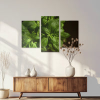 AC-120T080