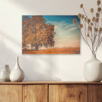 AC-045W030