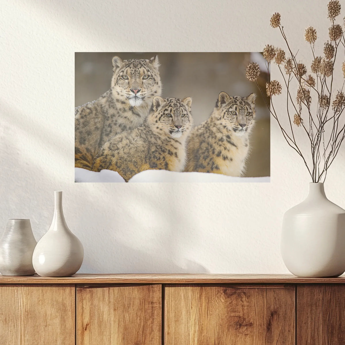 PO-030W020