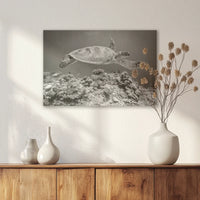 AL-060W040