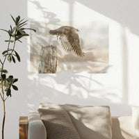 PO-045W030