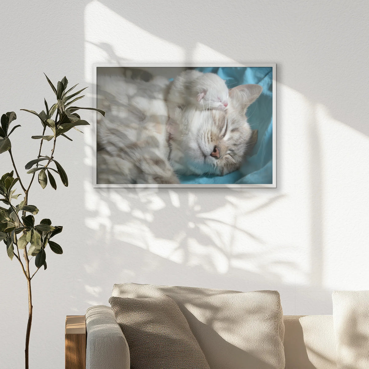 PW-093W062