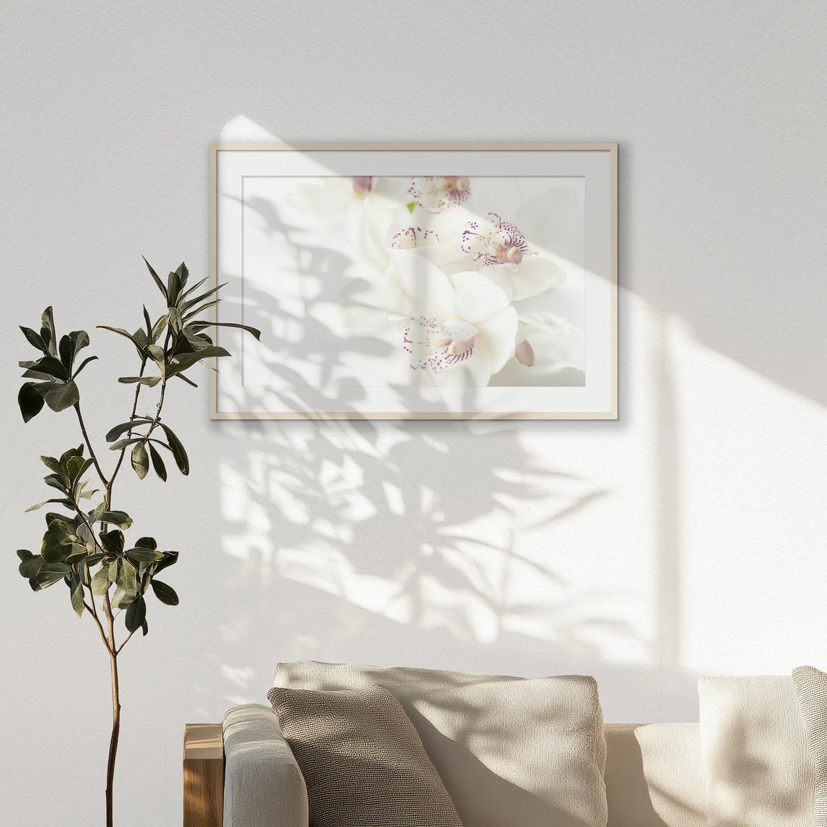 PNP100W070