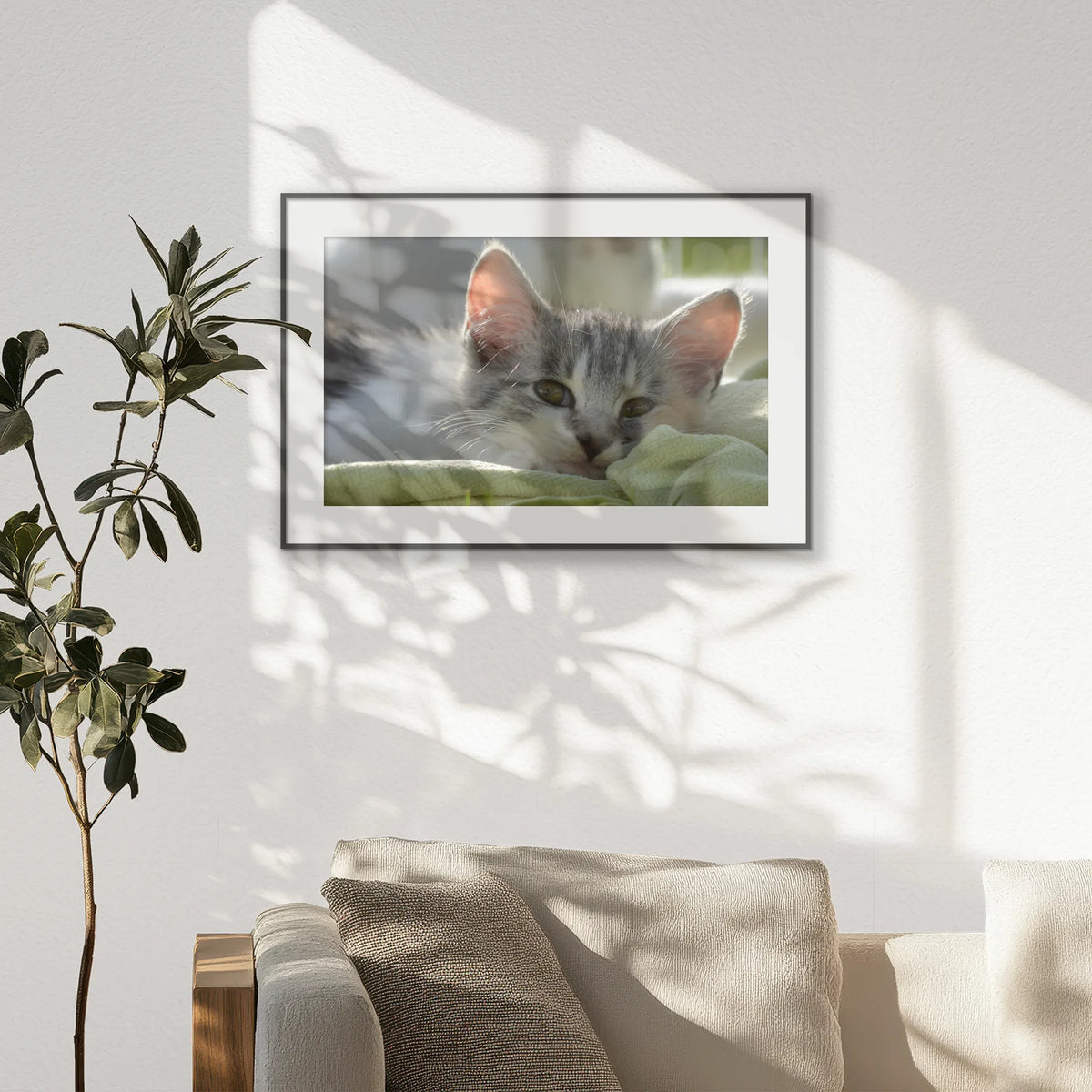 PBP093W062