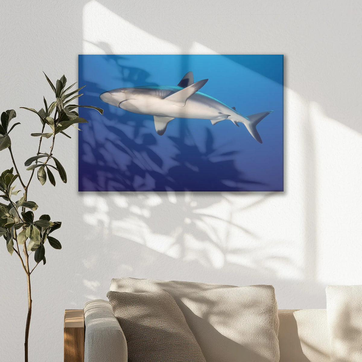 LW-075W050