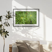 PKP093W062