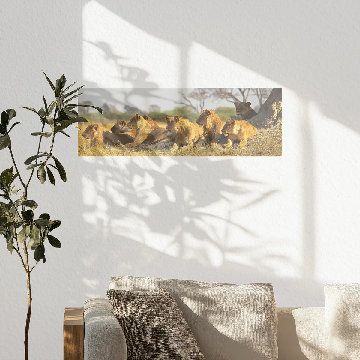 PO-060P020
