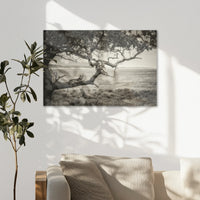 AL-090W060