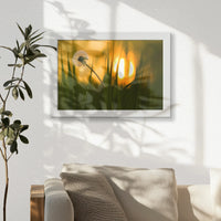 LWW030W020