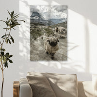 AC-020W030
