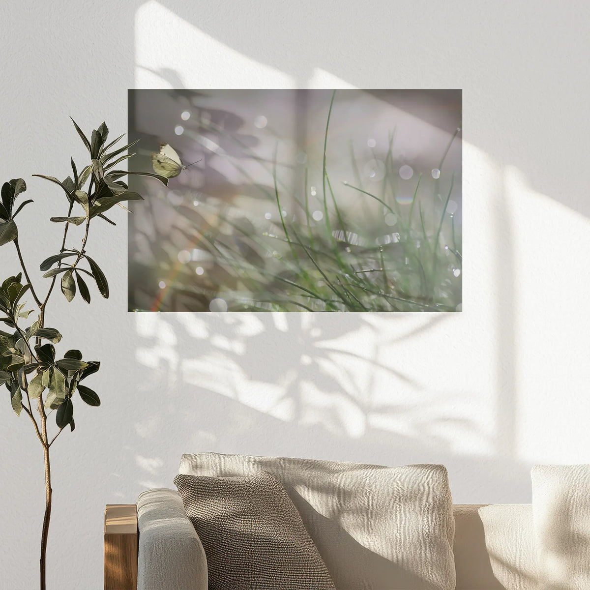 PO-075W050