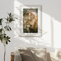 PNP040W060