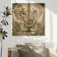 AC-040W040