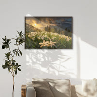 LWN100W070