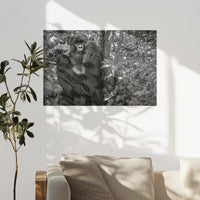 PO-075W050