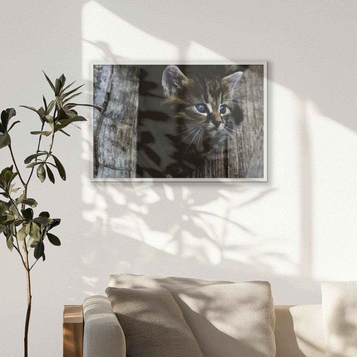 PW-093W062