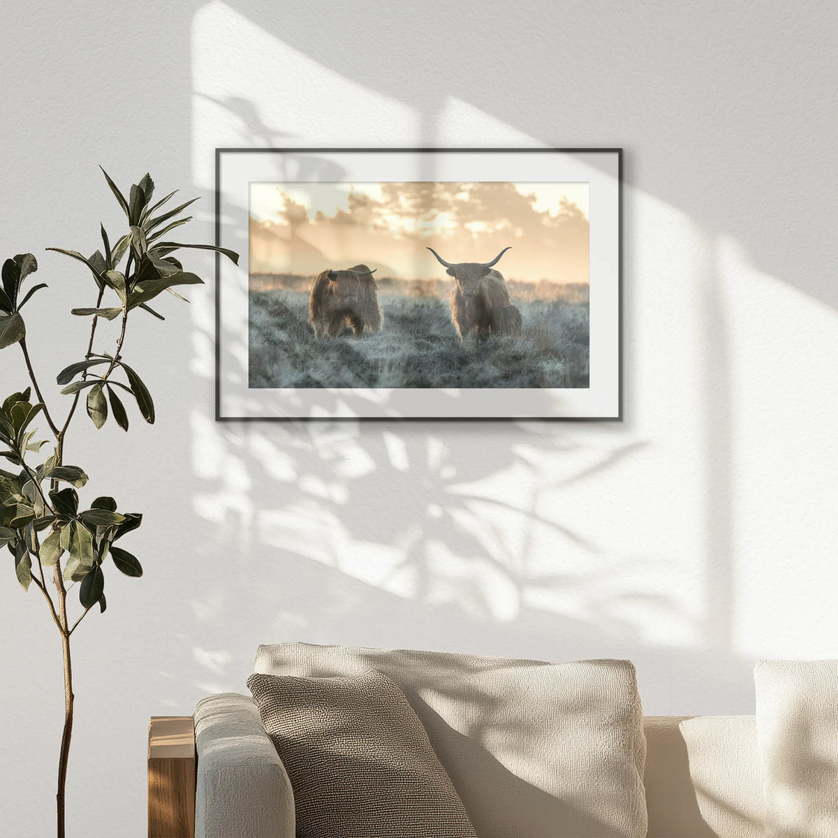 PBP093W062