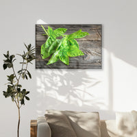 PB-120W080