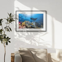 PBP060W040
