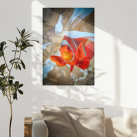PO-050W075