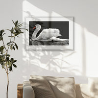 PWP093W062