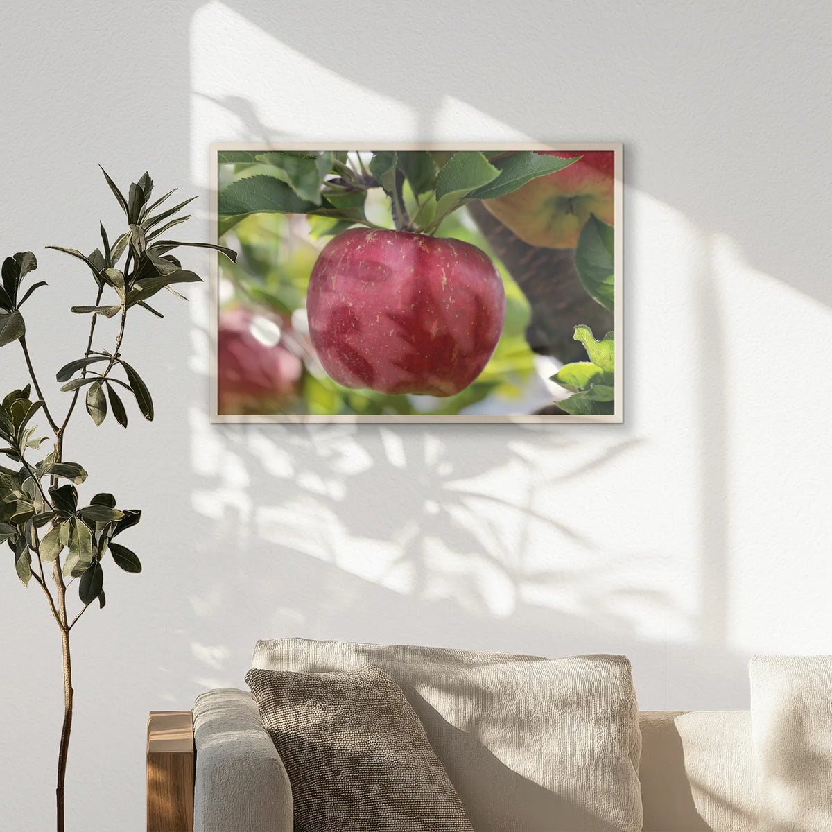 PN-093W062