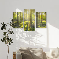 AC-120T080