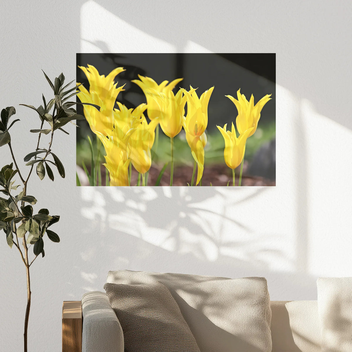 PO-090W060