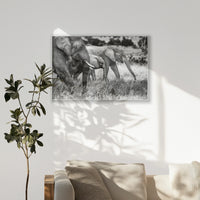PS-100W070