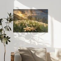 AC-075W050