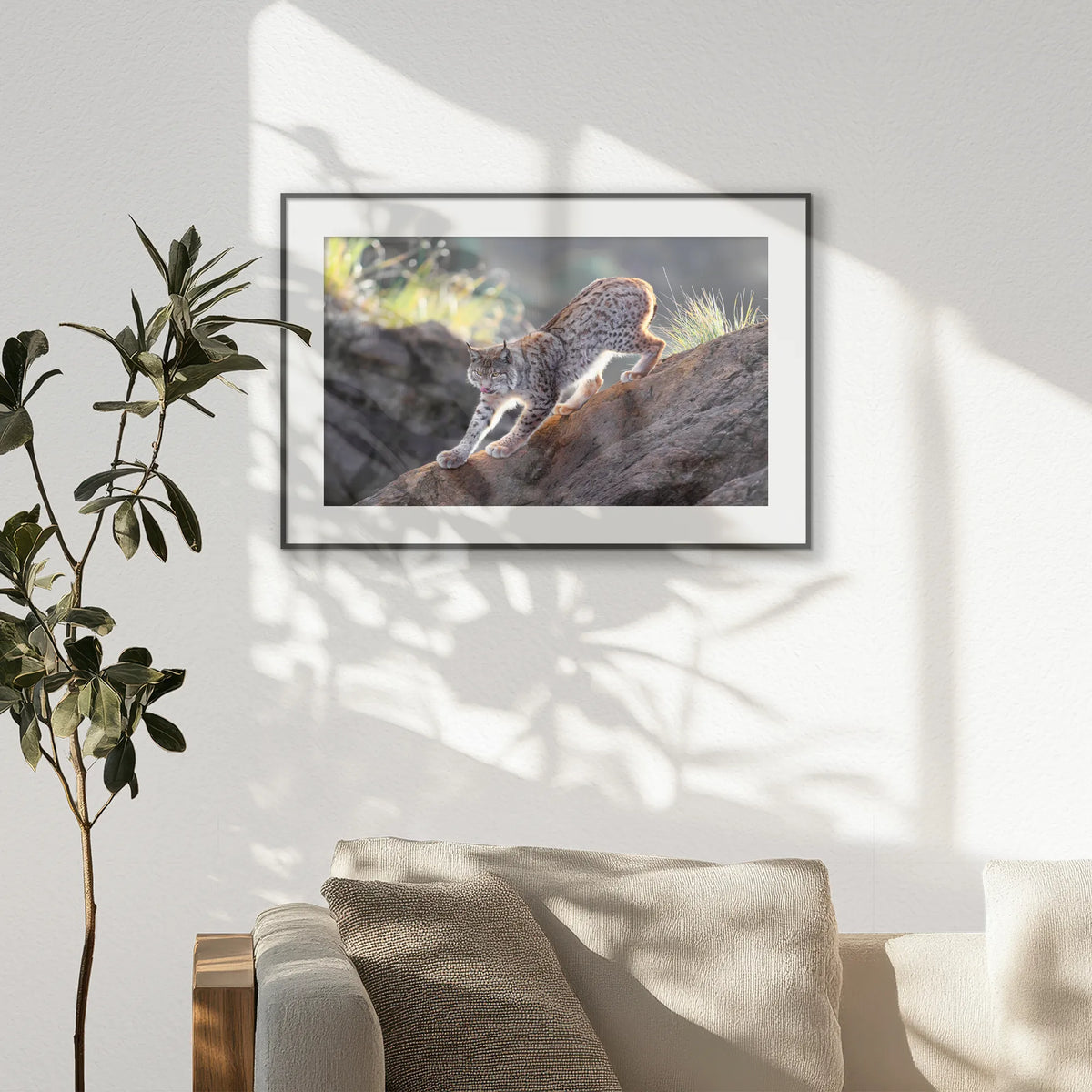 PBP093W062