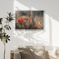 PW-093W062