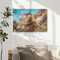 AL-045W030