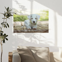 PO-045W030
