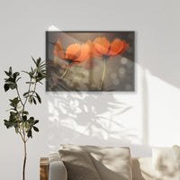 PK-100W070