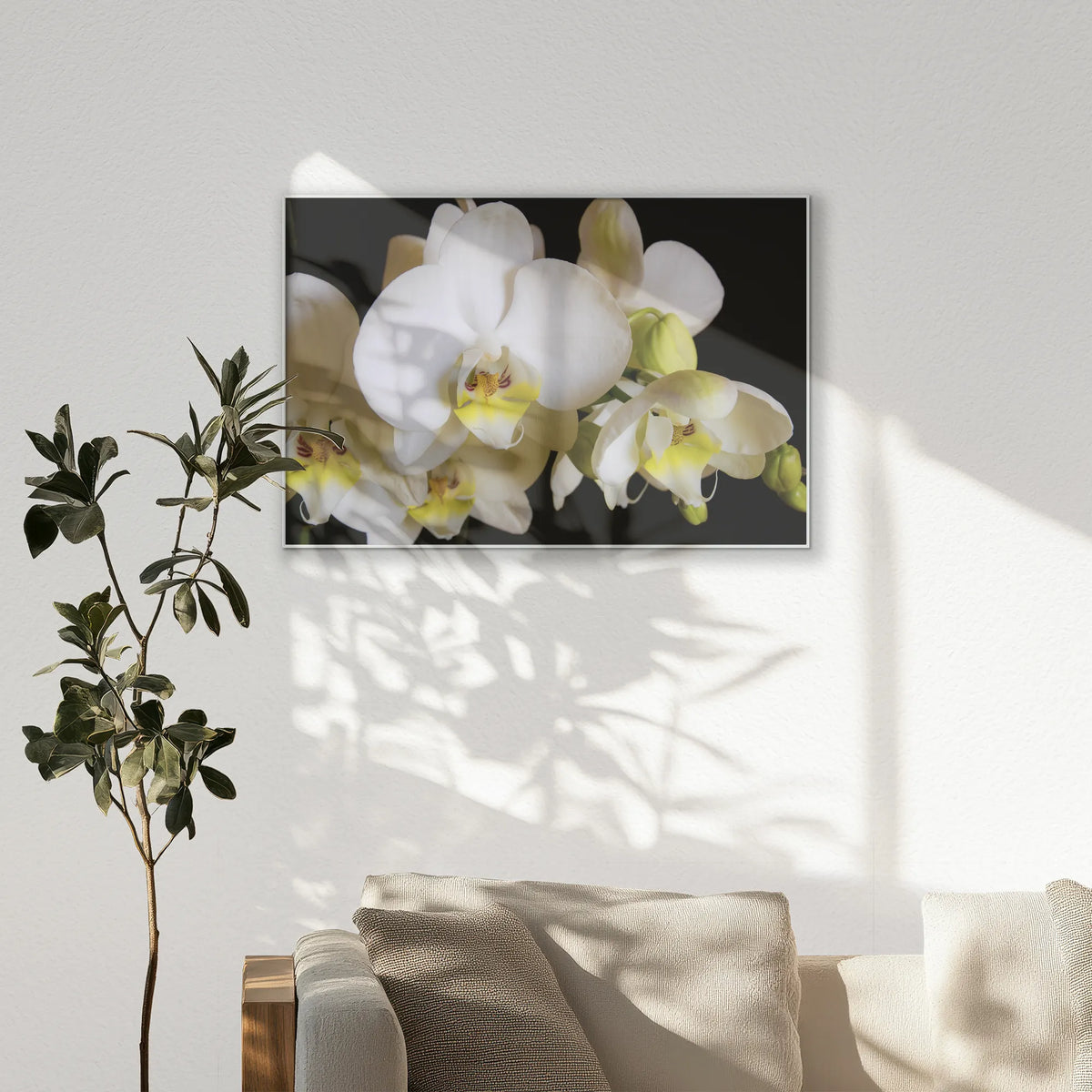 PS-120W080