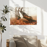 PO-045W030