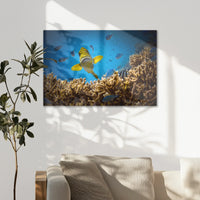 AL-075W050