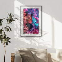 PKP062W093