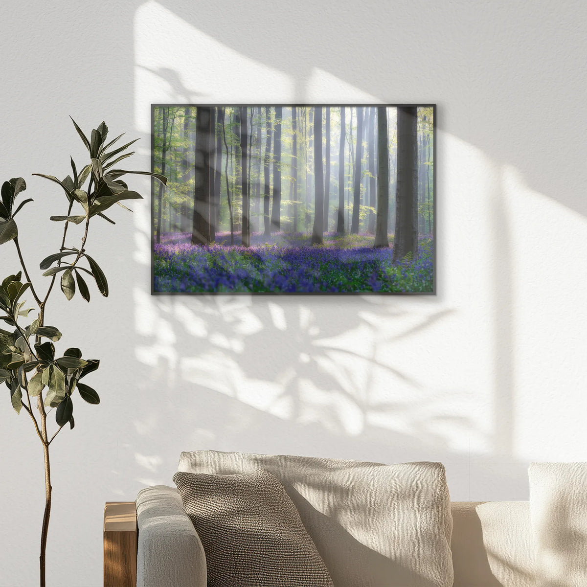 PB-093W062
