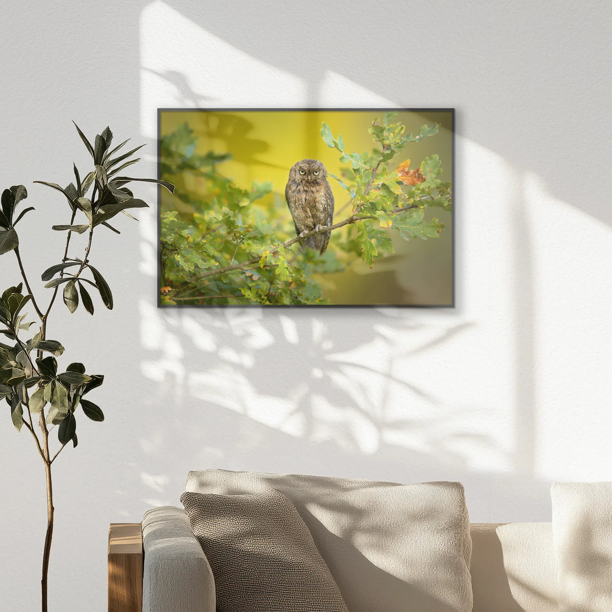 PB-093W062