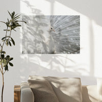 PO-030W020
