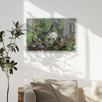 PS-093W062