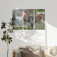 AL-120R080