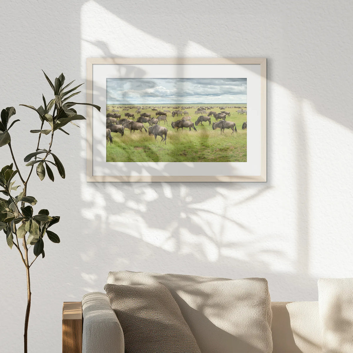 PNP060W040