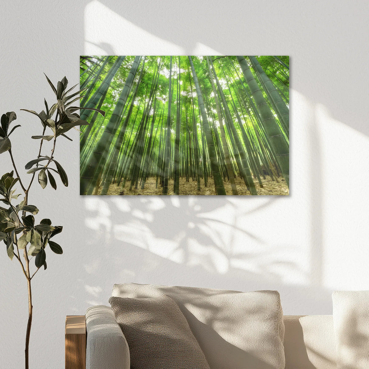 AC-075W050