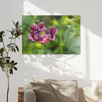 AL-075W050