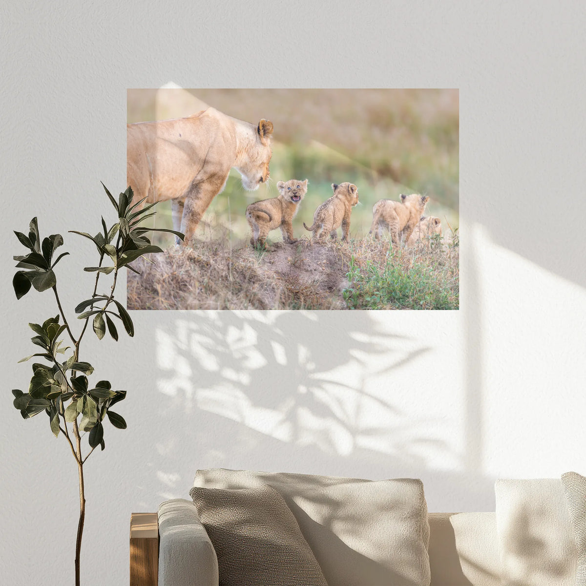PO-120W080