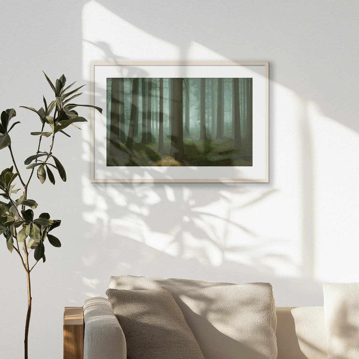 PNP093W062