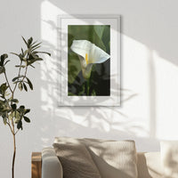 PWP040W060
